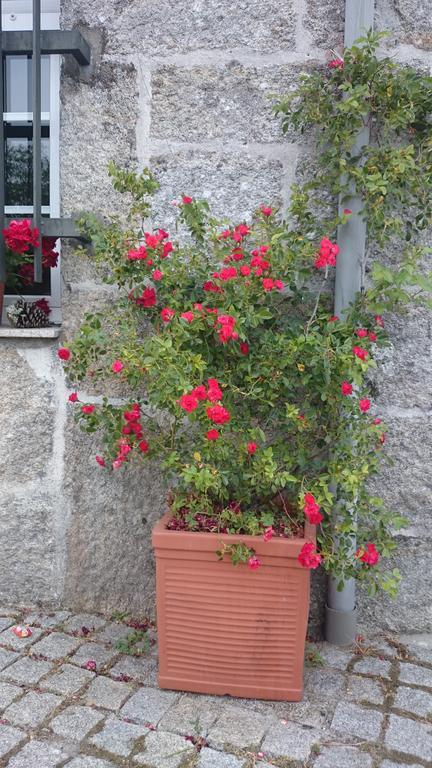 Casa O Torgal Villa Parada del Sil Dış mekan fotoğraf